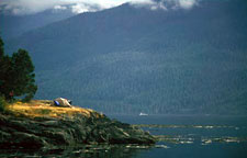 Canada-British Columbia-Johnstone Straight Sea Kayaking